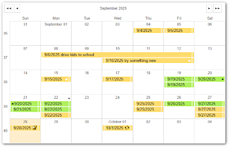 A monthly appointments calendar created with the JavaScript scheduler.