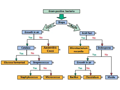 Hierarchical Structures