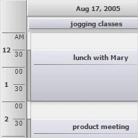 The timetable view in the .net appointment calendar component