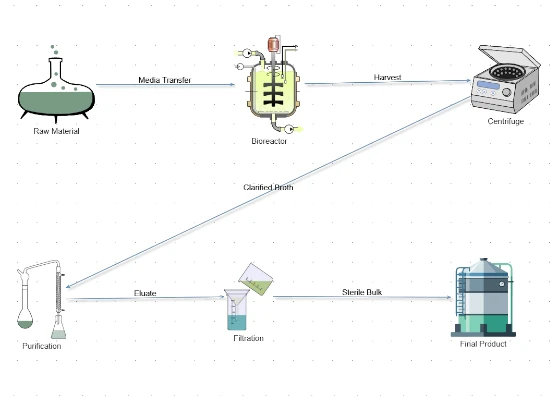 Pharma Process Simulator diagram in JavaScript